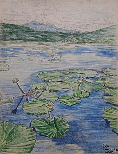 Landschft im sdlichen Papua Neuguinea