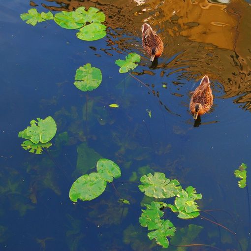 Foto-Reihe-Impressionen-1