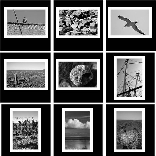 Foto-Reihe-Black-And-White-II-10-18