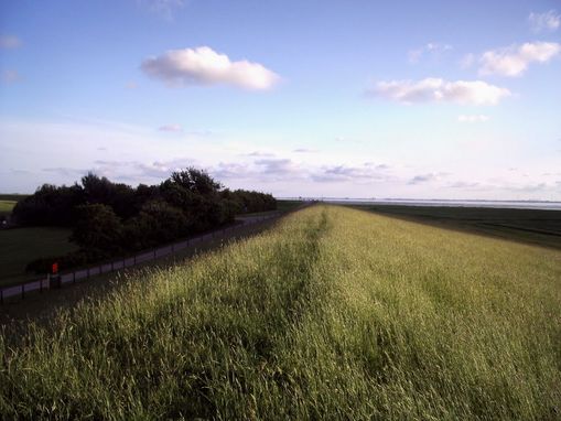 Aan deer Noordseeek��ste