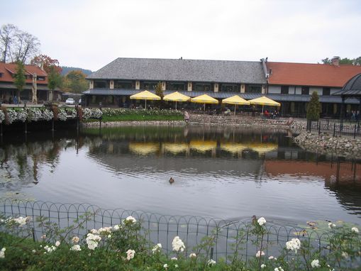 Autumn in Belmontas