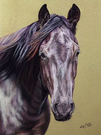 Quarter Horse