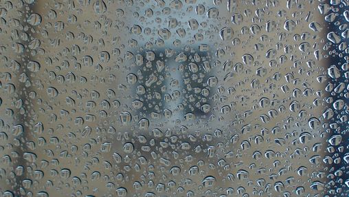 das Fenster