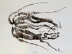 touch
