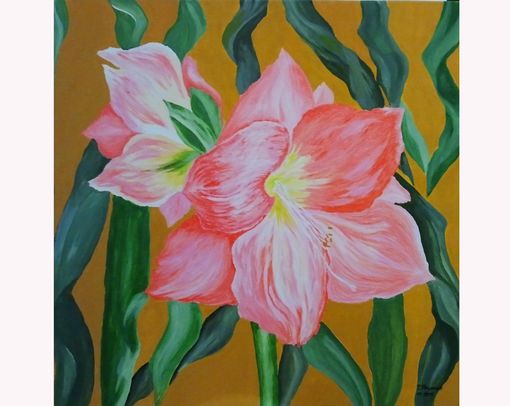 Hippeastrum Guten Tag! Bl�ten