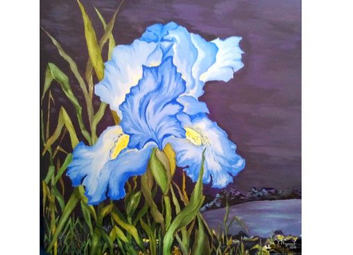 Iris Gute Nacht Bl�ten