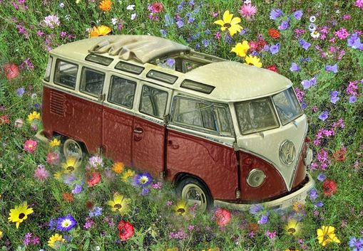 Wir waren Blumenkinder