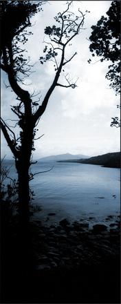 Irland, Kerry, Valencia Island, Glanleam Garden