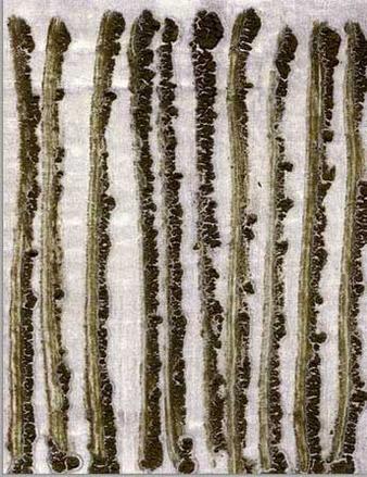 mein Kind l�gt nicht 11