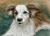Tierportraits nach F...