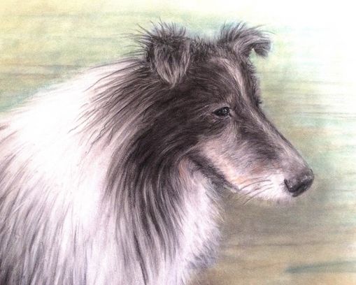 Toerportraits nach Foto