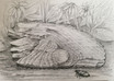 Waldfund