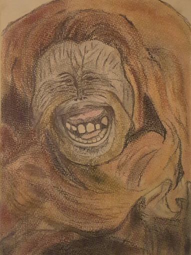 Der Affe