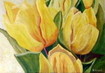 Gele tulpen
