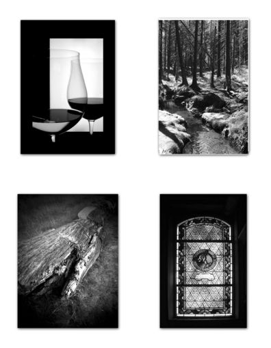 Foto-Stillleben-II-5-8