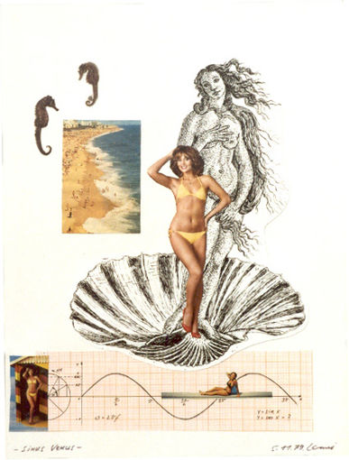 Geburt der Sinus-Venus