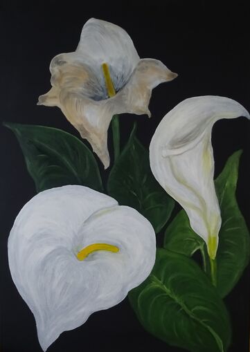 Calla