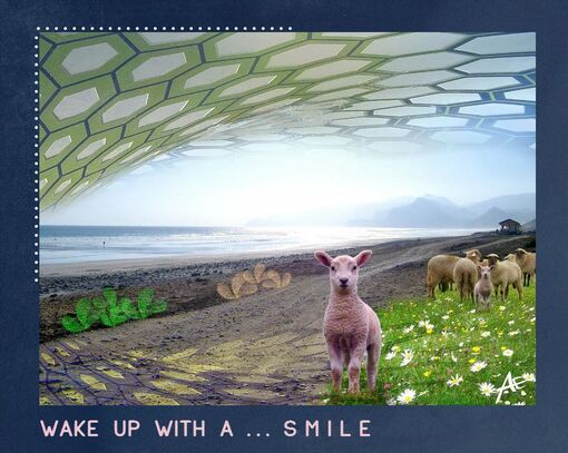 Wake up with a  smile