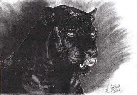 PANTHER