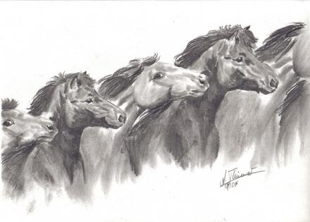 ISL�NDER-COMPOSITION