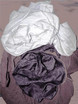 cotton part 12 