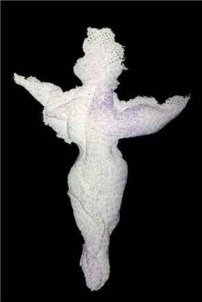 cotton part 2 "o.T."