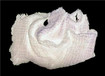 cotton part 1 