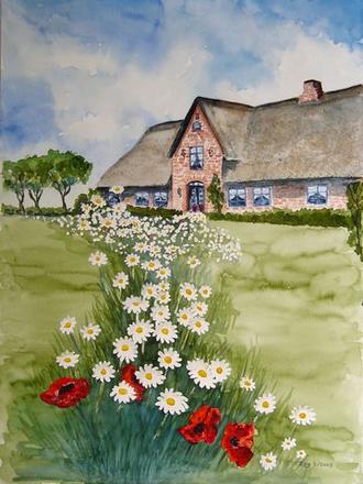 Bauernhaus mit Mohn und Margaritten (Nordfriesland))