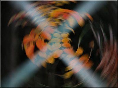 Visions #4