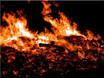 Bonfire #5
