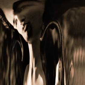 ANTELOPE " Serie Horns "