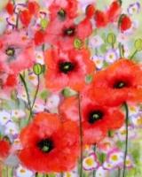 Mohnblumen