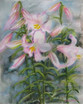 Weisse Lilien