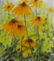 Rudbeckia