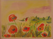 Mohnblumen