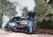 Yosemite Railroad1