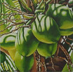 Brazilian Coconuts 2
