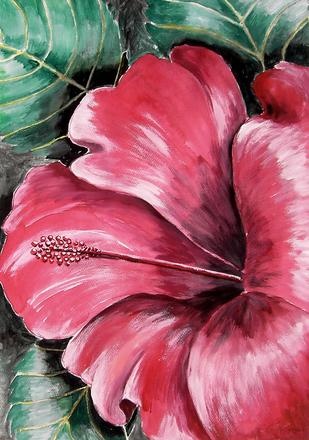 Hibiskusbl�te nach dem Regen