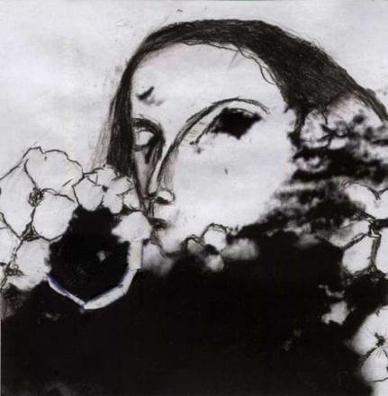 Die sch�nen Blumen