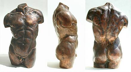 mnnlicher Torso