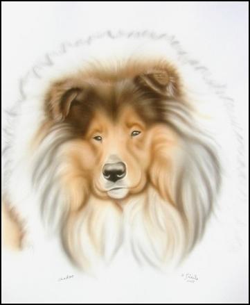 Portrait Shaddow