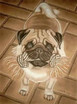 Portrait Mops