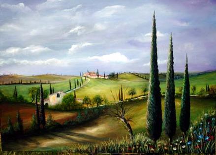 Zypressen an der sonne