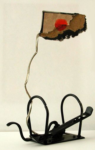 Sparsame Installation - Mit Hightech umschiffen wir die Finanzkrise -