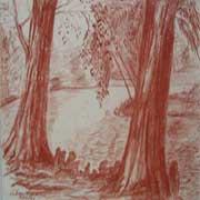 Brasilianische B�ume