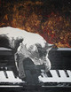 Katzenmusik