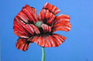 Supermohn