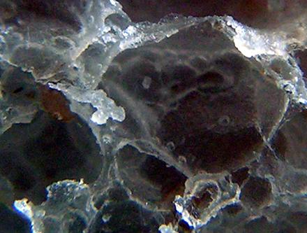 Im Netz der Entstehung