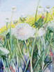 Sommerwiese 2
