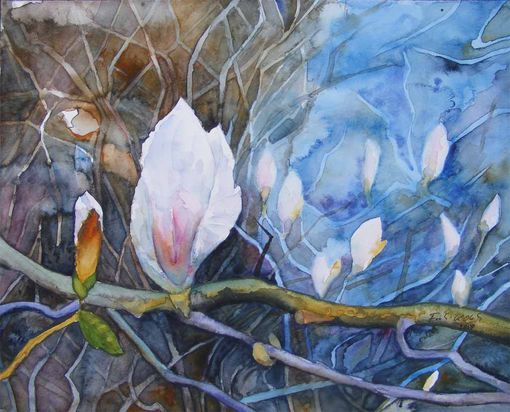 Die ersten Blten der Magnolie